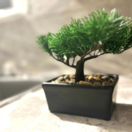 Albert Housing 温莎 外观 照片