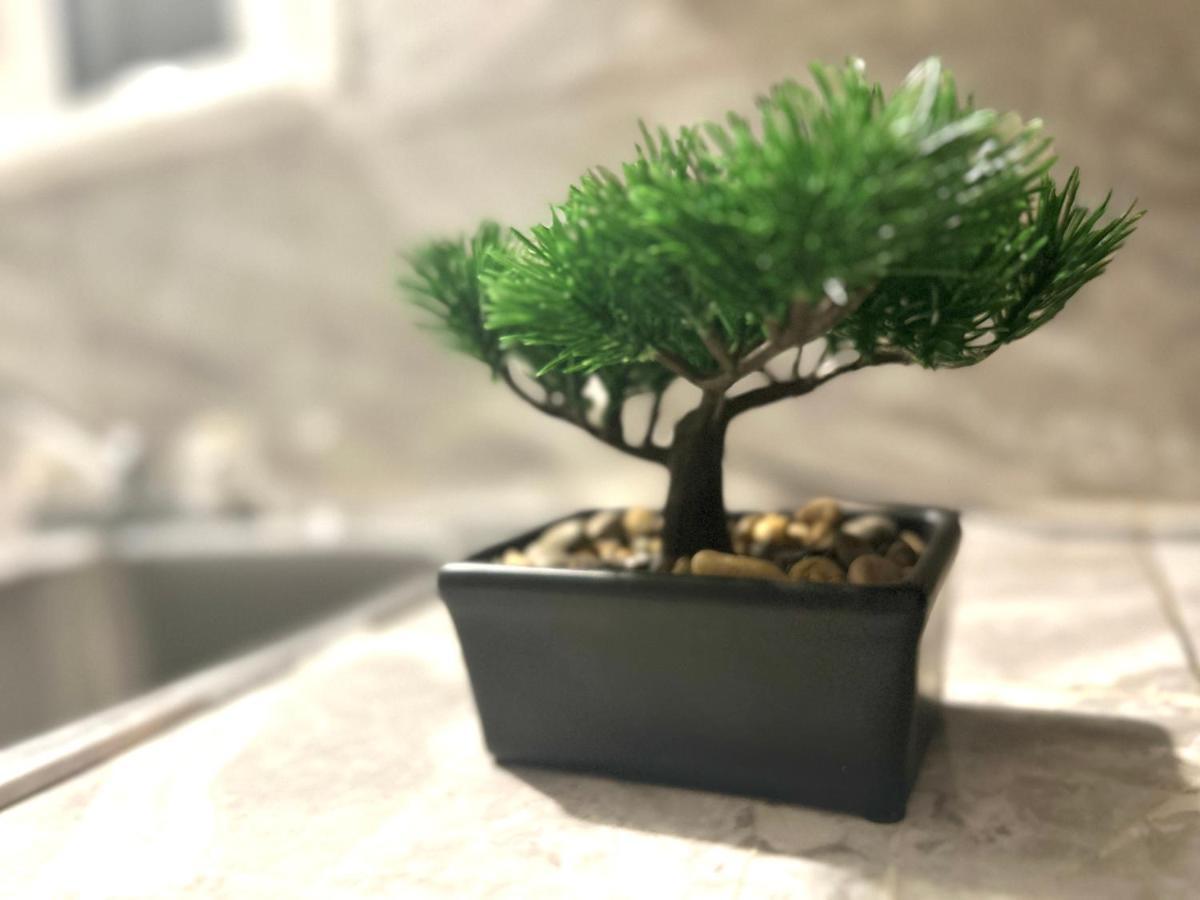 Albert Housing 温莎 外观 照片